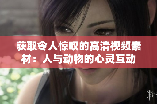 获取令人惊叹的高清视频素材：人与动物的心灵互动