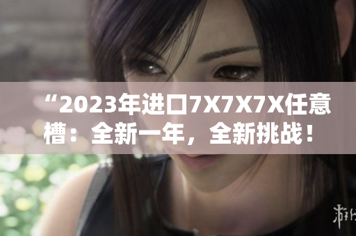 “2023年进口7X7X7X任意槽：全新一年，全新挑战！”