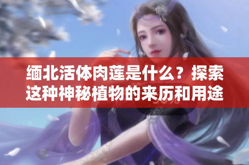 缅北活体肉莲是什么？探索这种神秘植物的来历和用途