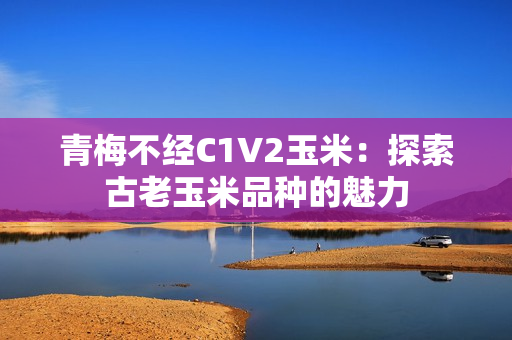 青梅不经C1V2玉米：探索古老玉米品种的魅力
