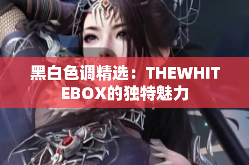 黑白色调精选：THEWHITEBOX的独特魅力