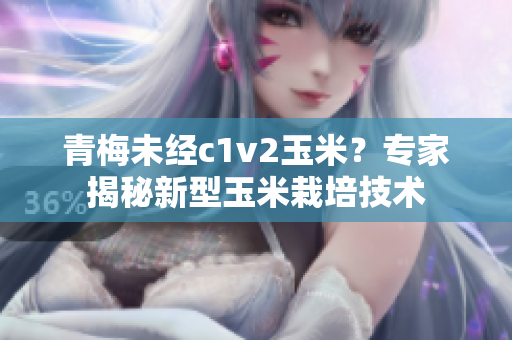 青梅未经c1v2玉米？专家揭秘新型玉米栽培技术