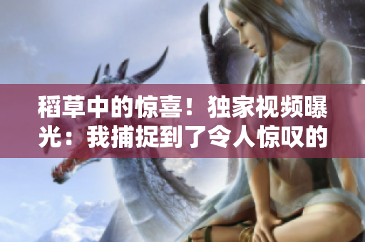 稻草中的惊喜！独家视频曝光：我捕捉到了令人惊叹的一幕
