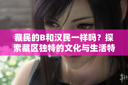 藏民的B和汉民一样吗？探索藏区独特的文化与生活特色