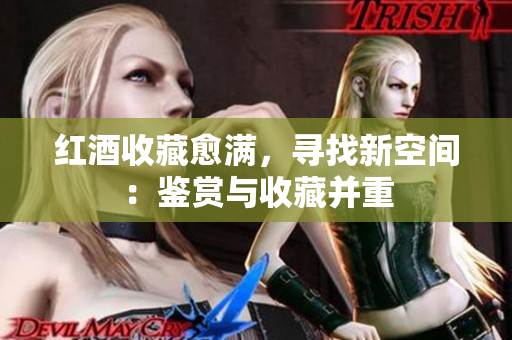红酒收藏愈满，寻找新空间：鉴赏与收藏并重