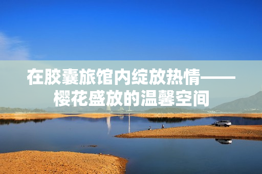在胶囊旅馆内绽放热情——樱花盛放的温馨空间