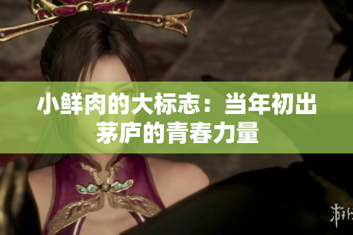 小鲜肉的大标志：当年初出茅庐的青春力量
