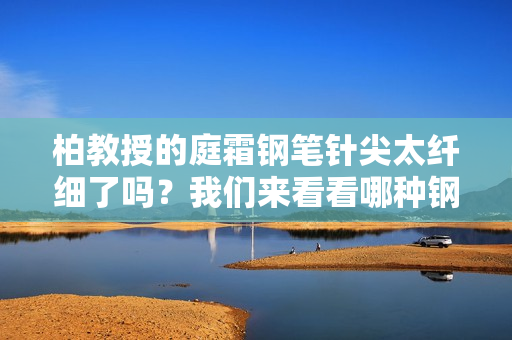 柏教授的庭霜钢笔针尖太纤细了吗？我们来看看哪种钢笔最适合你。