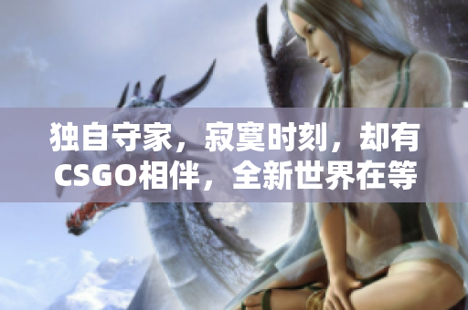 独自守家，寂寞时刻，却有CSGO相伴，全新世界在等待着。