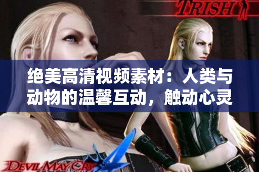 绝美高清视频素材：人类与动物的温馨互动，触动心灵，温暖人心