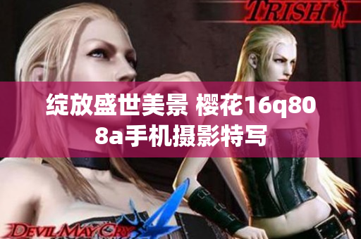 绽放盛世美景 樱花16q808a手机摄影特写