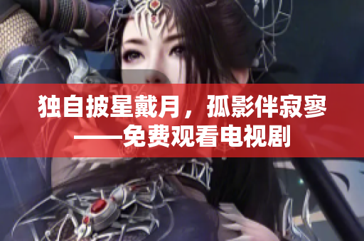 独自披星戴月，孤影伴寂寥——免费观看电视剧