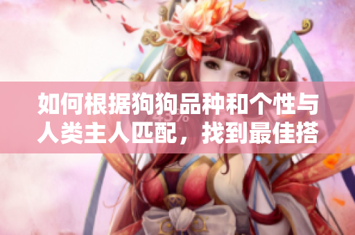 如何根据狗狗品种和个性与人类主人匹配，找到最佳搭档