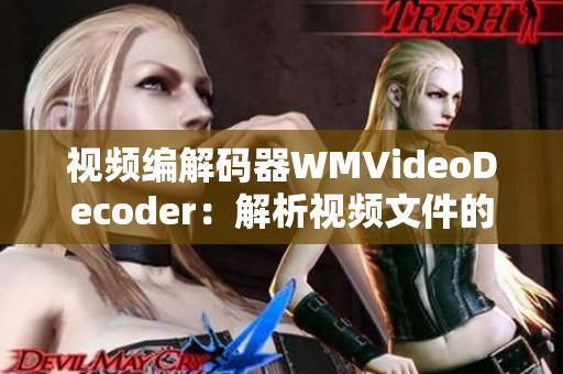 视频编解码器WMVideoDecoder：解析视频文件的关键利器