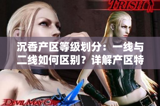 沉香产区等级划分：一线与二线如何区别？详解产区特征及市场影响