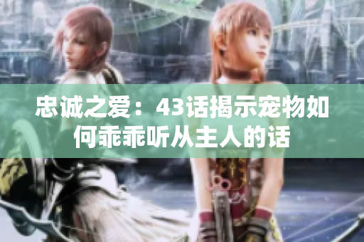 忠诚之爱：43话揭示宠物如何乖乖听从主人的话