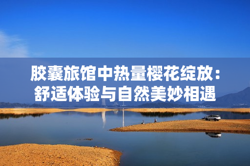 胶囊旅馆中热量樱花绽放：舒适体验与自然美妙相遇