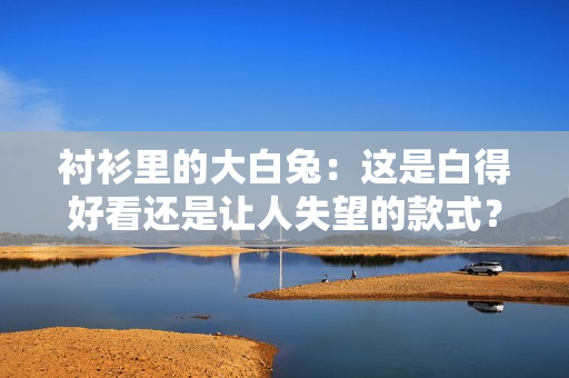 衬衫里的大白兔：这是白得好看还是让人失望的款式？