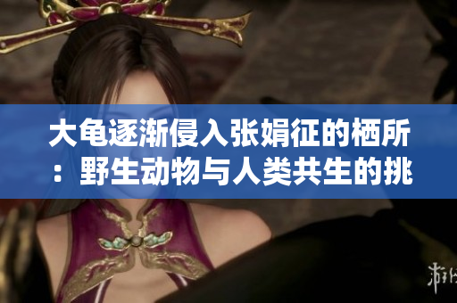 大龟逐渐侵入张娟征的栖所：野生动物与人类共生的挑战