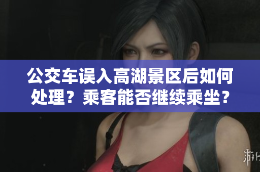 公交车误入高湖景区后如何处理？乘客能否继续乘坐？
