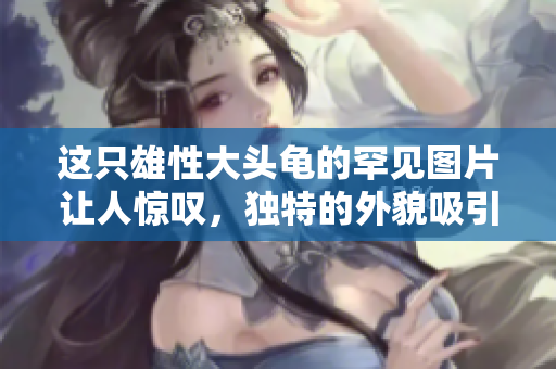 这只雄性大头龟的罕见图片让人惊叹，独特的外貌吸引了众多动物爱好者的关注