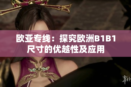 欧亚专线：探究欧洲B1B1尺寸的优越性及应用