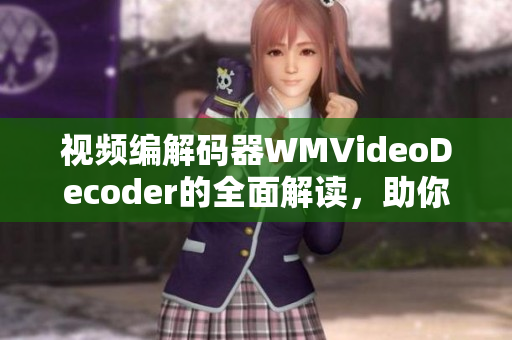 视频编解码器WMVideoDecoder的全面解读，助你理解视音频编码技术