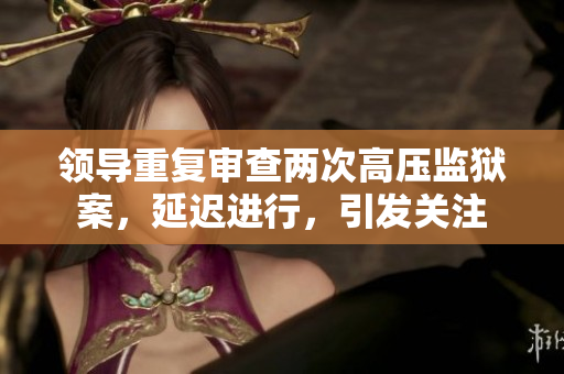 领导重复审查两次高压监狱案，延迟进行，引发关注