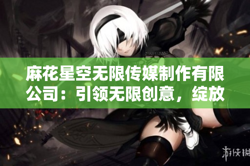 麻花星空无限传媒制作有限公司：引领无限创意，绽放多维影视魅力