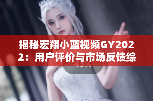 揭秘宏翔小蓝视频GY2022：用户评价与市场反馈综述