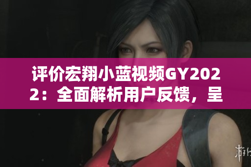 评价宏翔小蓝视频GY2022：全面解析用户反馈，呈现出色视听体验