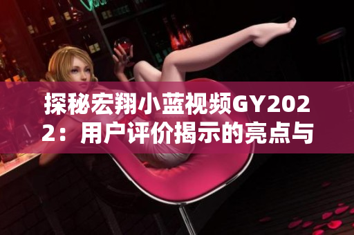 探秘宏翔小蓝视频GY2022：用户评价揭示的亮点与挑战