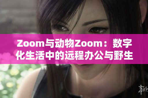 Zoom与动物Zoom：数字化生活中的远程办公与野生动物观察