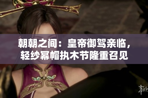 朝朝之间：皇帝御驾亲临，轻纱幂帽执木节隆重召见