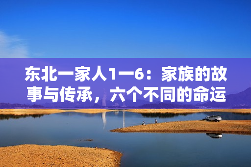东北一家人1一6：家族的故事与传承，六个不同的命运交织的情感纽带