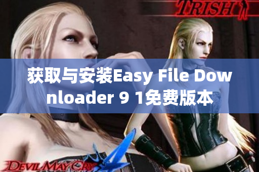 获取与安装Easy File Downloader 9 1免费版本