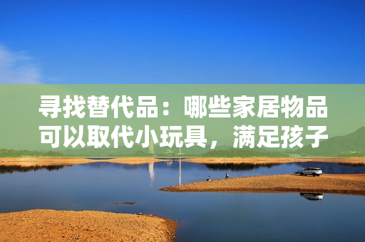 寻找替代品：哪些家居物品可以取代小玩具，满足孩子的需求？