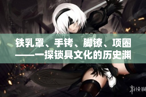 铁乳罩、手铐、脚镣、项圈——一探锁具文化的历史渊源与现代应用