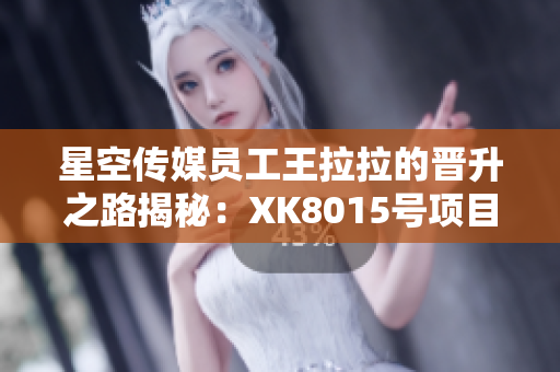 星空传媒员工王拉拉的晋升之路揭秘：XK8015号项目组的成功转型故事