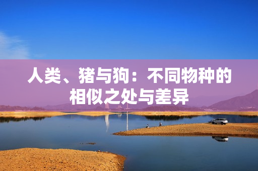 人类、猪与狗：不同物种的相似之处与差异