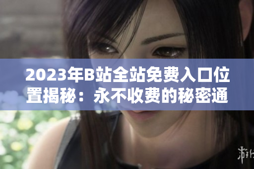 2023年B站全站免费入口位置揭秘：永不收费的秘密通道在哪里？