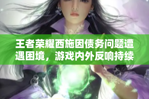 王者荣耀西施因债务问题遭遇困境，游戏内外反响持续发酵