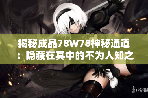 揭秘成品78W78神秘通道：隐藏在其中的不为人知之秘密