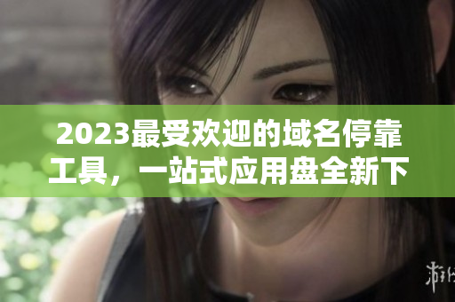 2023最受欢迎的域名停靠工具，一站式应用盘全新下载指南
