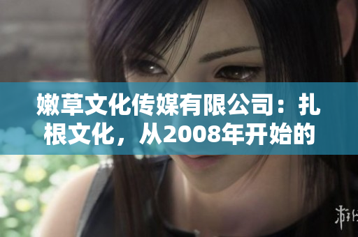 嫩草文化传媒有限公司：扎根文化，从2008年开始的故事