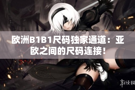欧洲B1B1尺码独家通道：亚欧之间的尺码连接！
