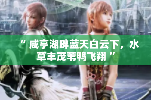 “ 咸亨湖畔蓝天白云下，水草丰茂苇鸭飞翔 ”