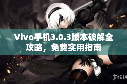 Vivo手机3.0.3版本破解全攻略，免费实用指南