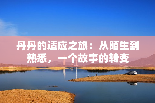 丹丹的适应之旅：从陌生到熟悉，一个故事的转变