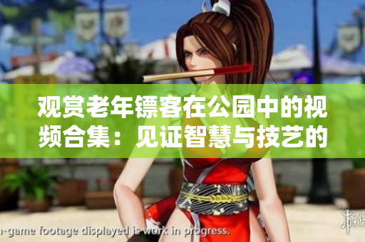 观赏老年镖客在公园中的视频合集：见证智慧与技艺的交融